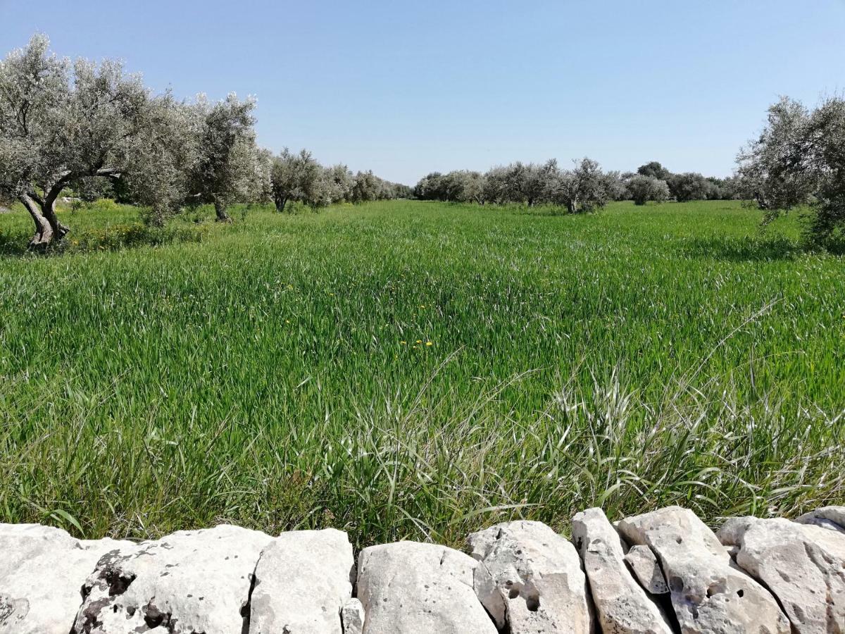 La Dimora Del Decano Vila Scicli Exterior foto